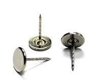 Pino raso 16mm